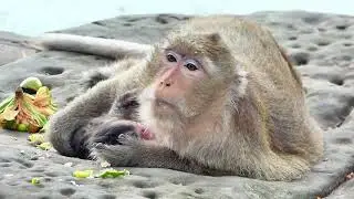 Congratulation!.. Super Star TARA Capzilla Troop Give Birth New Baby Today, Adorable Baby Named TIA