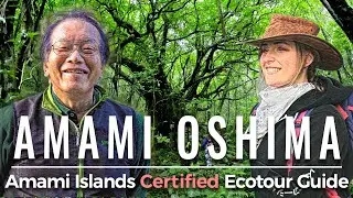 Eco tourism in Amami Oshima Island English subtitles 奄美大島 不思議な巨木 ハイキング英語字幕