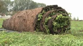 Duurzaam: groene daken
