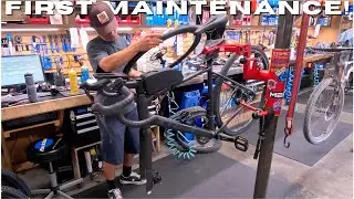 First Bike Service &ndash; Trek Domane AL 2 Gen 4 Road Bike