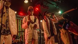 My Mission Are Possible - The Viceroys @ New Morning, Paris 2015