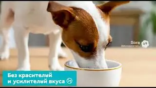 WB 444479812 OZON 2309457990 &bull; Братья Меньшие. Когда качество в каждой грануле ?? &mdash; Братья Меньшие
