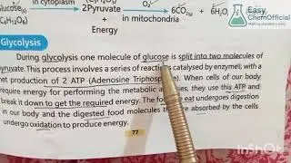 9th Class Chemistry Chapter 5 | Aerobic & Anaerobic Respiration with Glycolysis | New Book 2025