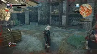 The Witcher 3 king of beggers 1v4 fist fight easy strat