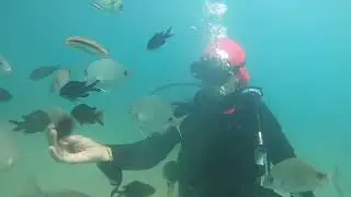 تحدي الغطس في شاطئ كالابونيطا الحسيمة🤿كانت تجربة رائعة دوزتها أنا وأختي فاطمة الزهراء😍