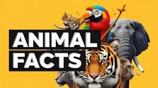 5 Animal Facts You Never Knew Were TRUE