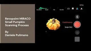 Revopoint MIRACO 3D Scanning & Processing: Mini Pumpkin