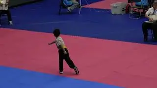 C09 連環拳 李城安