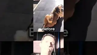 Dog passed away💔 (try not to cry) #sad #dog #emotional #animals #shorts