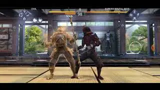 Adept 2 using Elders Lion set in shadow fight 3