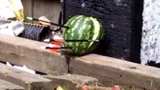 Watermelon Vs blunt arrow head.
