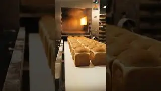 Bread factory from dough to pack 🍞 #manufacturing #factoryprocess