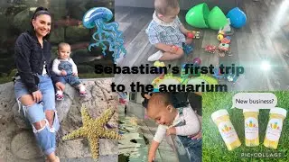 WIML / Long beach Aquarium | LifeWithTheKigs