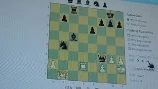 Problemschach: In Schach halten