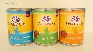 PetSmart Cheapest Healthy Canned Cat Food - Wellness Cat Food Taste Test And Review