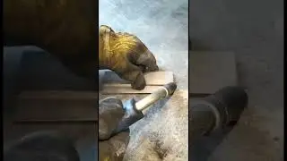 لحام تراكبي