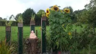 The Rose Garden Bed & Breakfast and Cafe - Kenmare - Ireland