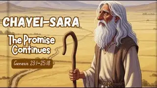 (The Promise Takes Hold) | Parashat Chayei Sarah | BHS Kids