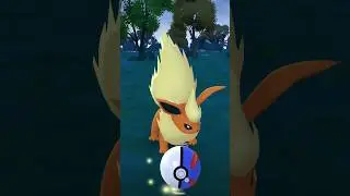 Catching Flareon 🔥 #trending #gaming #viral #reels #pokemon #pokemoncards #pokemontcg #pokemongo #ff
