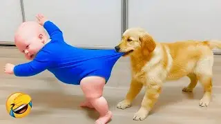 Baby and Dog Have The CUTEST Moments Together#babyshorts