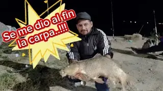 Pesca en punta lara de noche...!!!