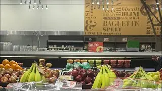 Canada Life | Supermarket Vlog in Canada