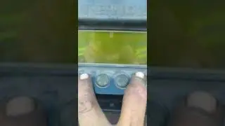 configuración para borrar códigos de Thermos o caja refrigerada