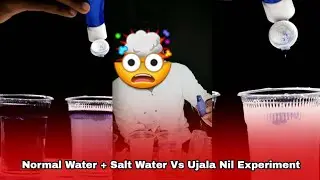 Amazing Science experiment | Normal Water + Salt Water Vs Ujala Nil Experiment #shorts #experiment