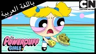 فتيات القوة | صبي الدلو | كرتون نتورك