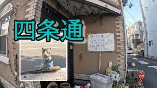 四条通ぷらぷら（京都）