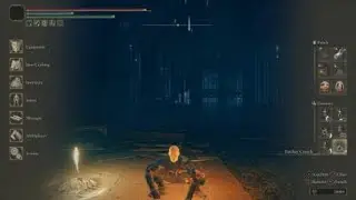 ELDEN RING&trade;_cathedral of manus metyr grace location