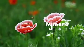 Santi & Tuğ&ccedil;e - Hik&acirc;ye