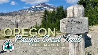 Oregon PCT Highlights: 2022&rsquo;s Most Stunning Moments