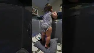 THOSE CHUNKY LEGS  #baby #shorts #shortsfeed