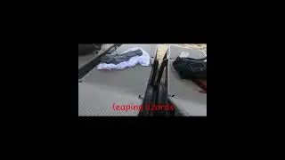 leaping lizard