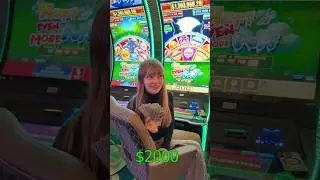 huff n even more puff $50 a spin!!