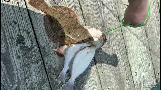 Fishing Adventure: Digging for Sea Worms & Flounder 🐟 Fishing at the pier.