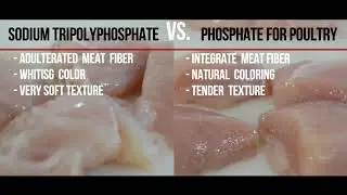 Specific Phosphate For Poultry