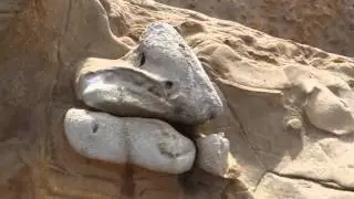 Ask a Docent about the Geology of Point Lobos