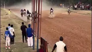 7/12/2025 COURSE HIPPIQUE ORDINAIRESAISON 2025-2026 7&egrave;me JOURNEE Course de Cracks 1er Ba nene 🐴