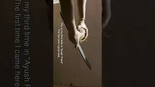 Ap25 Reel Ayurbrain Velichka 1