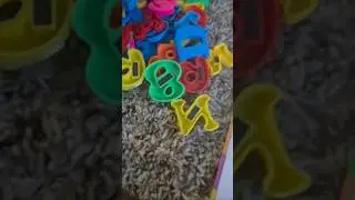 Magnetic Alphabets and Numbers