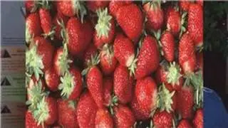 Raw Food Diet Tips : How to Eat Healthy & Organic