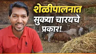 कोकणात शेळीपालनासाठी सुक्या चाऱ्याचे प्रकार | संपूर्ण माहिती #RahateFarming
