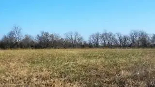 Homes for Sale - Coweta OK 74429 - Judy Eigenheer