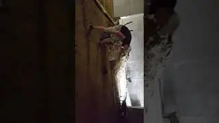 12 декабря 2019 г.