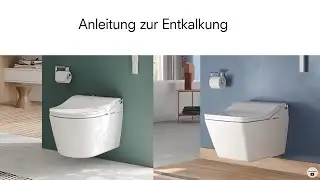 Anleitung zur Entkalkung des WASHLET RW und SW mit silberner Fernbedienung