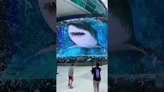 SHARKS ATTACK! Incredible 3D Billboard in Nassau