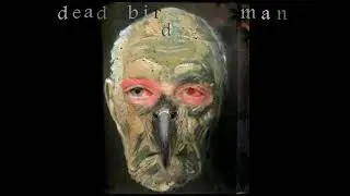 dead bird man looks in the mirror