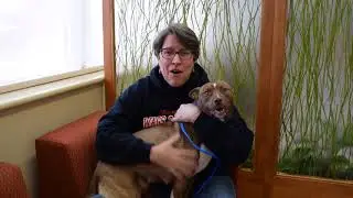 Our Work with Rescues: Wags 2 Wishes Animal Rescue